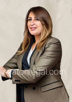 business-bay-legal consultant