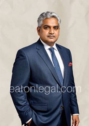 criminal legal consultant