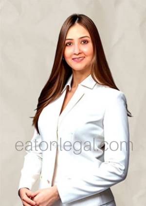 legal-counsel